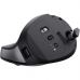 Мишка Trust Bayo + Ergonomic Wireless/Bluetooth Black (25146)