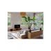 Акустическая система Harman Kardon Enchant Speaker Black (HKENCHSPKBLKEP)