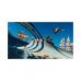 Игра Sony Tony Hawk Pro Skater 3+4, BD диск (1161846)