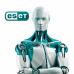 Антивирус Eset PROTECT Advanced с локал. упр. 22 ПК на 1year Business (EPAL_22_1_B)