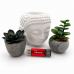 USB флеш накопичувач Wibrand 32GB Ladybug Red USB 3.2 (WI3.2/LB32P10S)