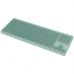 Клавіатура Canyon OnType 10 TKL Mechanical Silent Low-profile USB UA Green (CNS-HKB10GR)