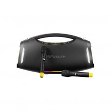 Акустическая система HiFuture BoomBeat Black (boombeat.black)