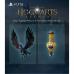 Игра Sony Hogwarts Legacy, BD диск (1194246)