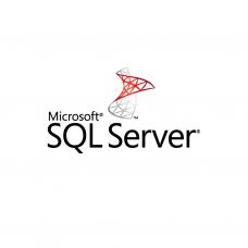 ПО для сервера Microsoft SQL Server Standard - 2 Core License Pack - 1 year Subscript (DG7GMGF0M7XW_0004_P1Y_A)