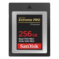Карта памяти SanDisk 256GB CFexpress Extreme Pro (SDCFE-256G-GN4NN)