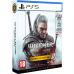 Гра Sony The Witcher 3 Wild Hunt Complete Edition + 10th Anniversary Steelbook, BD диск (5908305250463)