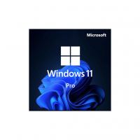 Операционная система Microsoft Win Pro 11 64-bit All Lng PK Lic Online DwnLd NR (FQC-10572)