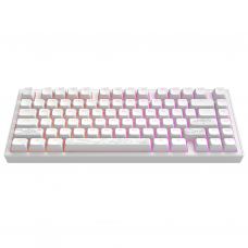 Клавиатура Dark Project ALU81 Terra Nostra PBT RGB Mech G3MS Moonstone White (DPKB_NOSTRA_81_ANSI_WHITE_UA)