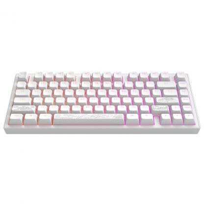 Клавиатура Dark Project ALU81 Terra Nostra PBT RGB Mech G3MS Moonstone White (DPKB_NOSTRA_81_ANSI_WHITE_UA)