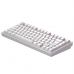 Клавиатура Dark Project ALU81 Terra Nostra PBT RGB Mech G3MS Moonstone White (DPKB_NOSTRA_81_ANSI_WHITE_UA)
