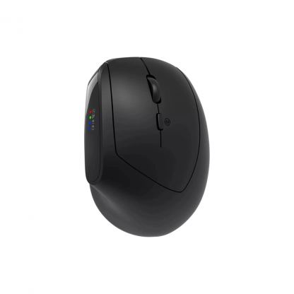 Мышка Canyon MW-25 LED Silent Wireless/Bluetooth Black (CNS-CMSW25)
