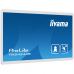 Монитор iiyama TW2424AS-W1