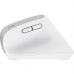 Мишка Trust Bayo+ Ergonomic Wireless/Bluetooth White (25399)