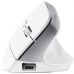 Мишка Trust Bayo+ Ergonomic Wireless/Bluetooth White (25399)