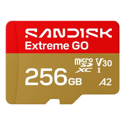 Карта пам'яті SanDisk 256GB microSDXC class 10 UHS-I Extreme GO (SDSQXGN-256G-GN6MN)