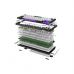 Клавіатура Hator Hellyberry HK75 Mechanical Linear RGB USB UA White/Violet (HK75)