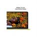 Ноутбук Apple MacBook Neo A3404 (MHFD4UA/A)