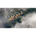 Игра Sony Microsoft Flight Simulator 2024, BD диск (1187140)